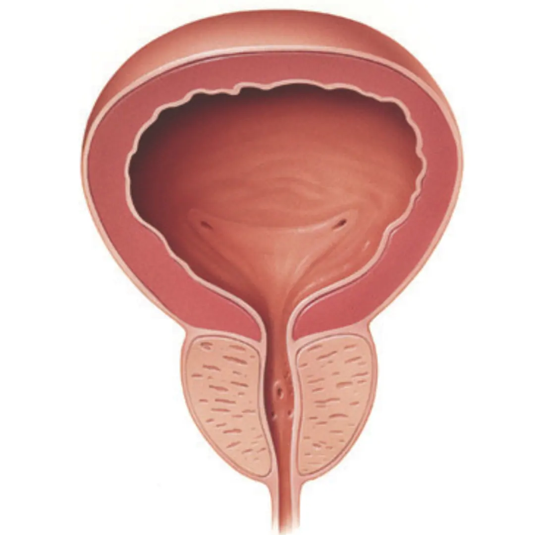 Difficulty in starting urination