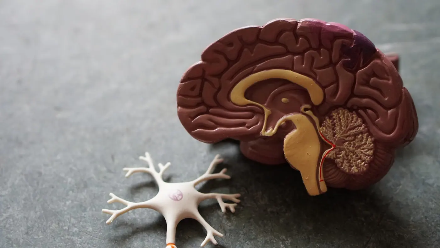 Kidney Stones: Why They Form & How Modern Surgery Removes Them Painlessly