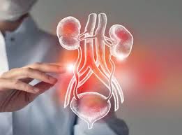 Urology